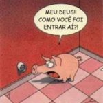 Porco