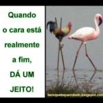 A-fim