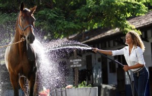 Cavalo tomando banho